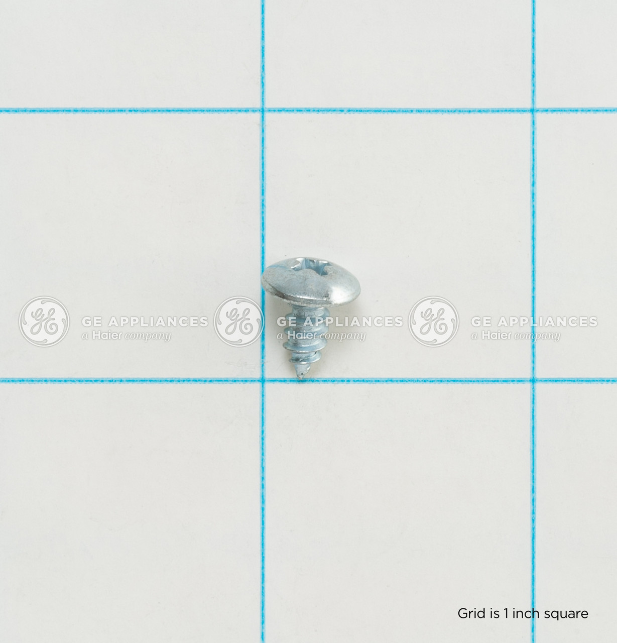 WH01X10004-3346.jpg