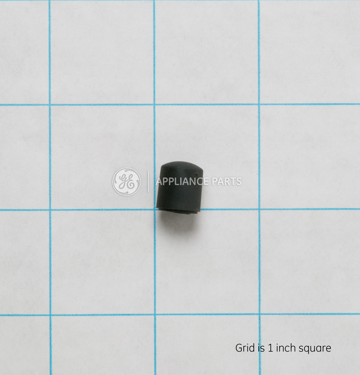 WH1X2742-1684.jpg