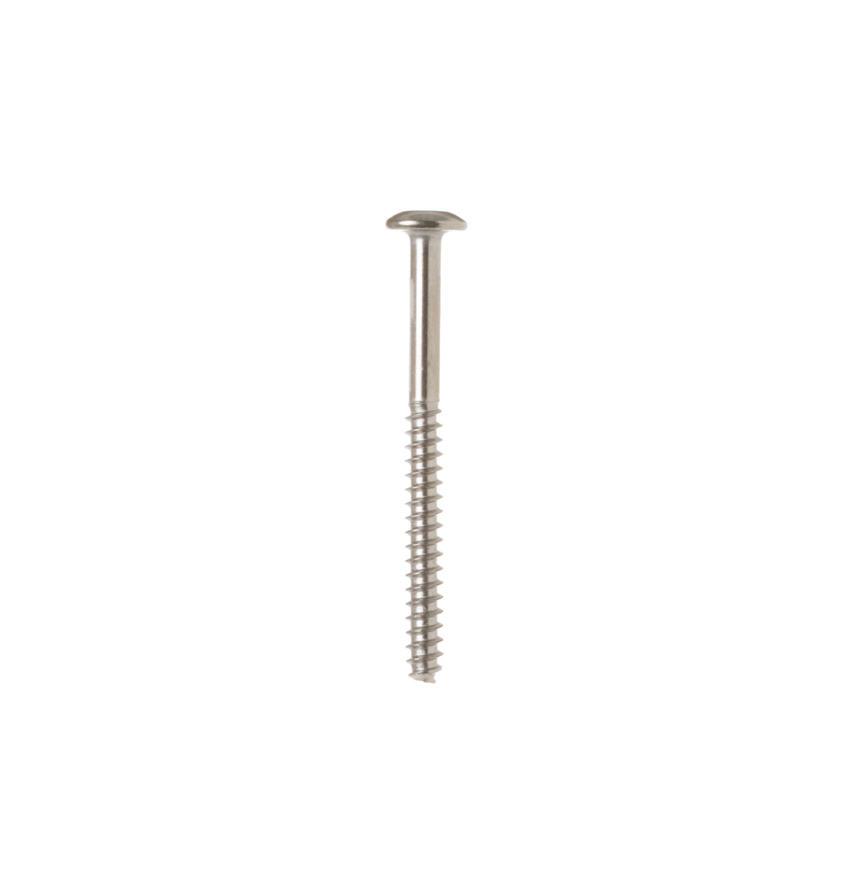 WD2X295-1283.jpg