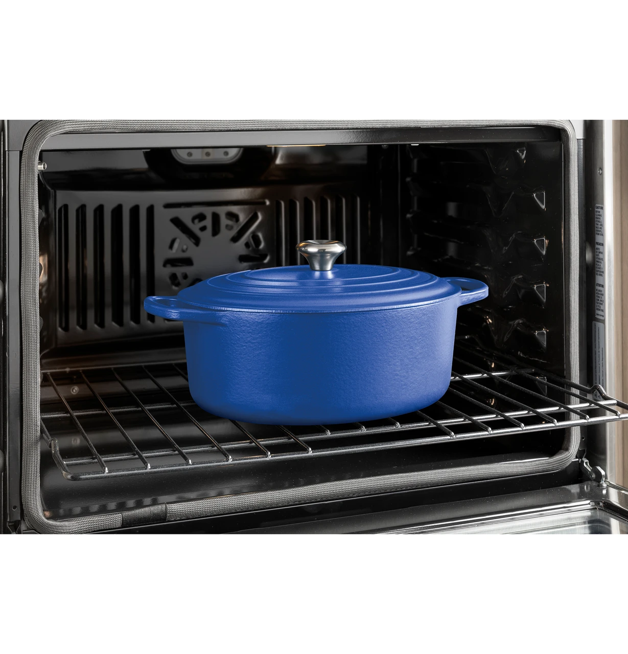 125744_GE_WallOven_5000_HeavyDutyRacks_BluePot_2400x2500.jpg
