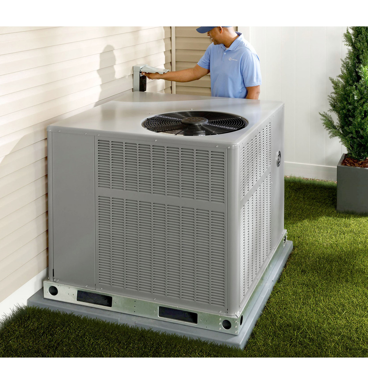 Packaged Talent 0 Clearance.jpg Packaged Talent 0 Clearance.jpg