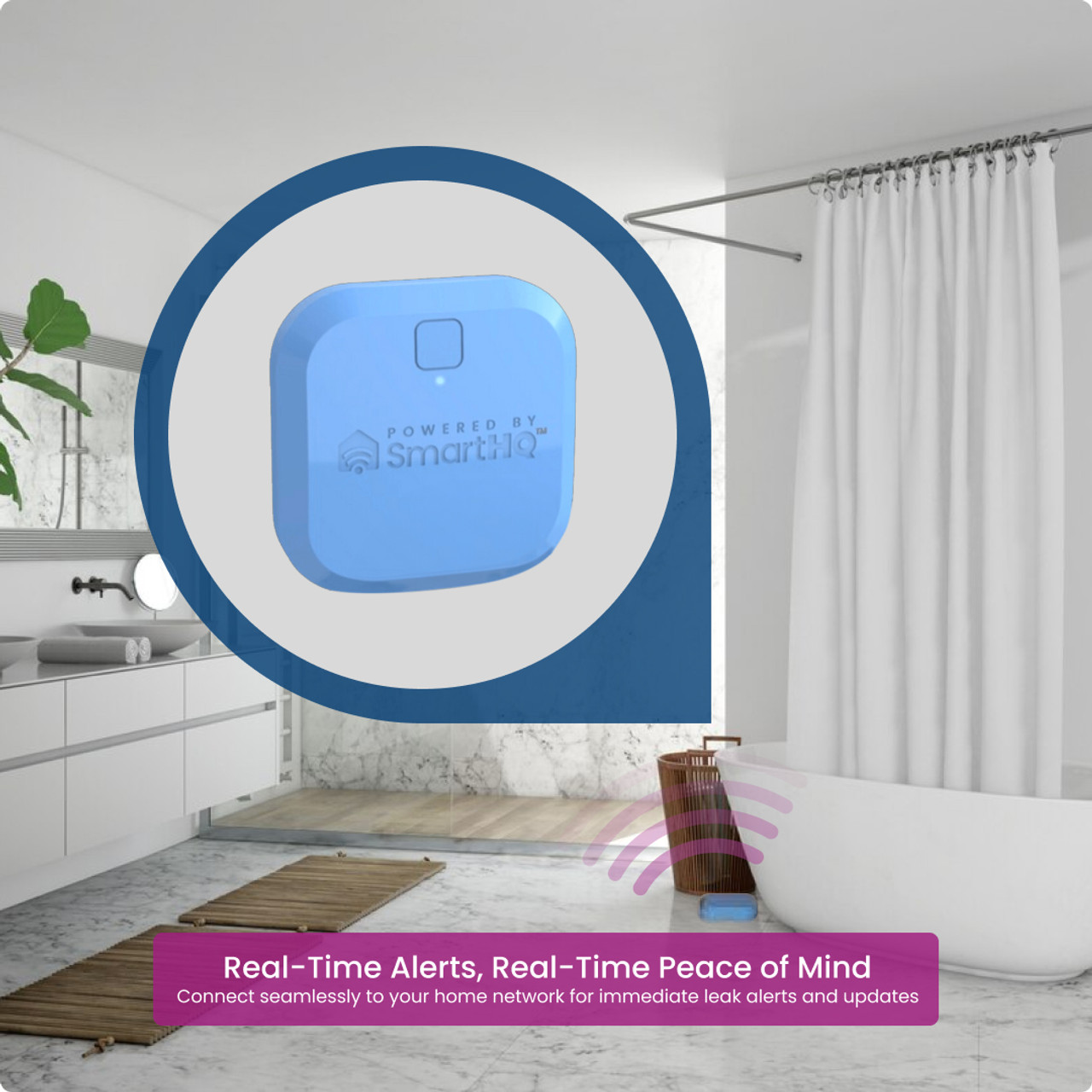 Amazon Carousel_2.jpg