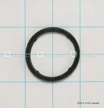 WD08X27559-0534.jpg