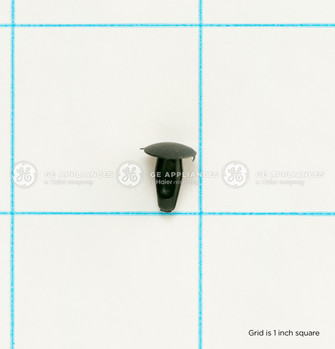 WE1X21775-4572.jpg