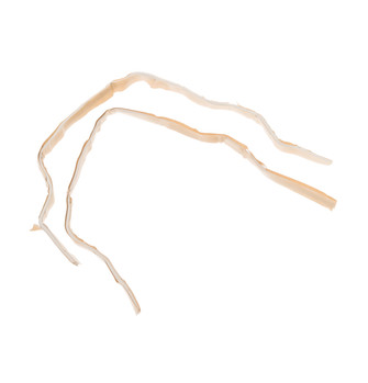 WR97X140-8998.jpg WR97X140-8998.jpg