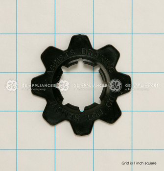 WH41X10282-8753.jpg