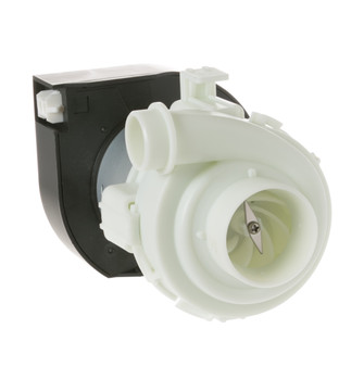 WD35X10385-8838.jpg