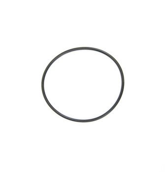 WS03X10038-O-RING-SUMP-HOUSING-0507.jpg