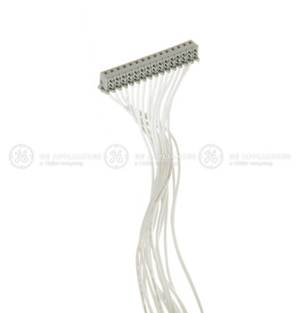 WD21X10395-8437.jpg