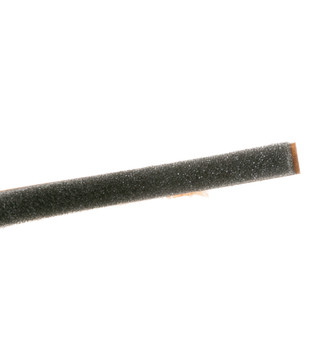 WE9M61-5595.jpg