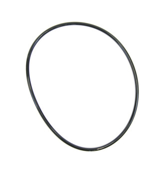 WS03X10039-O-RING-0395.jpg