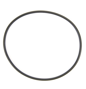 WS03X10054-O-RING-0789.jpg