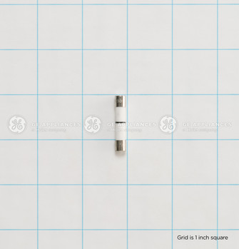 WB27X25389-4777.jpg WB27X25389-4777.jpg