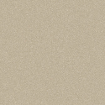 WR97X10113-paint chip.jpg