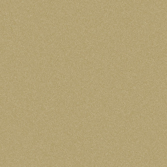 WR97X10127-paint chip.jpg