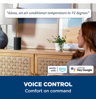 Window AC_Voice Control.jpg