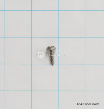 WR1X1937-9895.jpg
