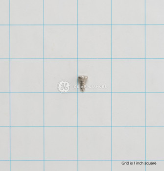WB1X5904-9386.jpg
