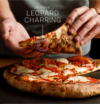 95770_021_Leopard_Char.jpg