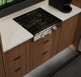 GEA-RV-Large-3 BURNER-ANGLE-1.jpg