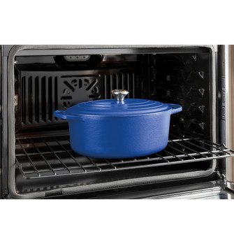 125744_GE_WallOven_5000_HeavyDutyRacks_BluePot_2400x2500.jpg 125744_GE_WallOven_5000_HeavyDutyRacks_BluePot_2400x2500.jpg