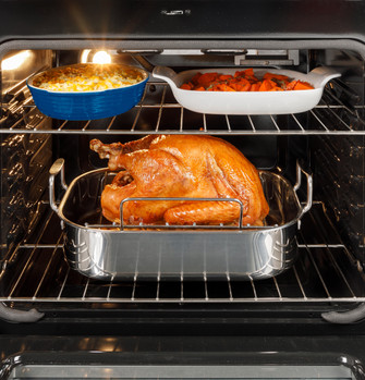 125337_GE_400_500_600_Gas_Large_Capacity_Oven_NO_Stainless_2400x2500.jpg