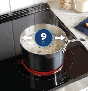 125337_GE_600_Electric_PowerBoil_9in_12in.gif