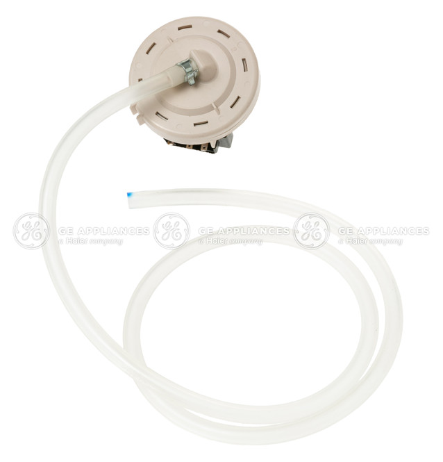 WH12X10427-1687.jpg