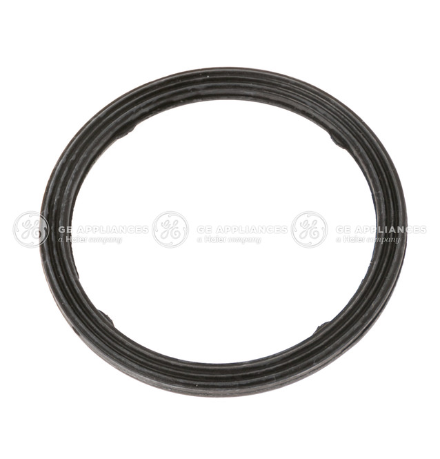 WD08X27559-0393.jpg