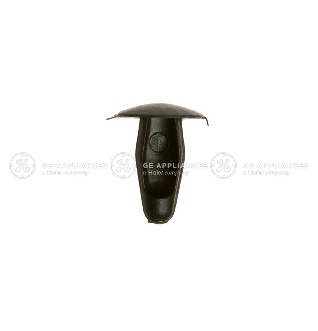 WE1X21775-4563.jpg