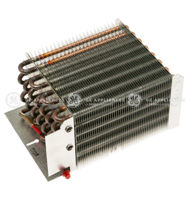 WR85X10039-0536.jpg
