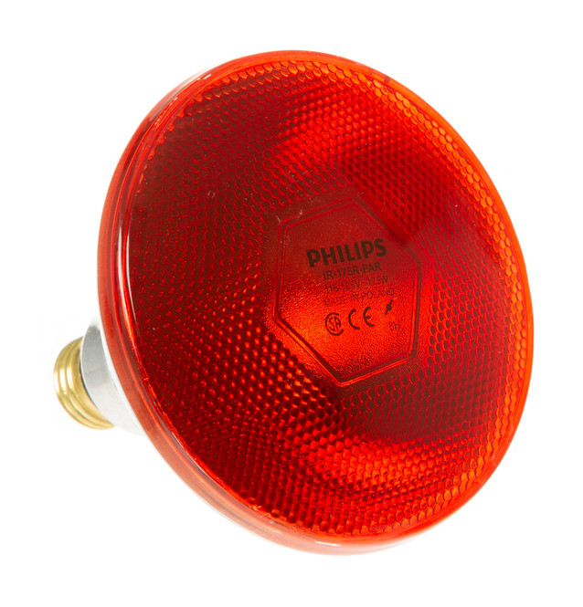 WB25X25901-1116.jpg