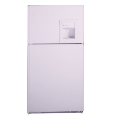GE Profile Performance™ 21.7 Cu. Ft. Top-Freezer No-Frost 