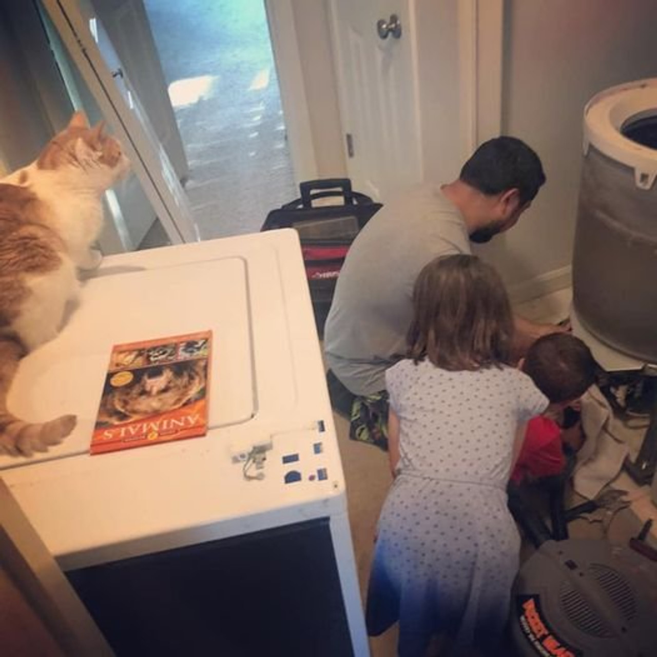 Your Appliance Repairs