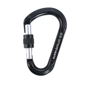 Carabiner Big D