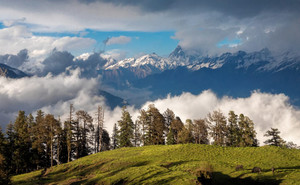 Dayara Bugyal Trek with FREE Trekking Gear (Dehradun to Dehradun) - On Covid Sale Dayara Bugyal Trek with FREE Trekking Gear (Dehradun to Dehradun) - On Covid Sale