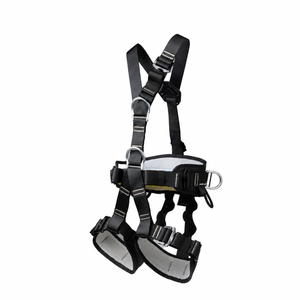 Rescue Full Body Harness