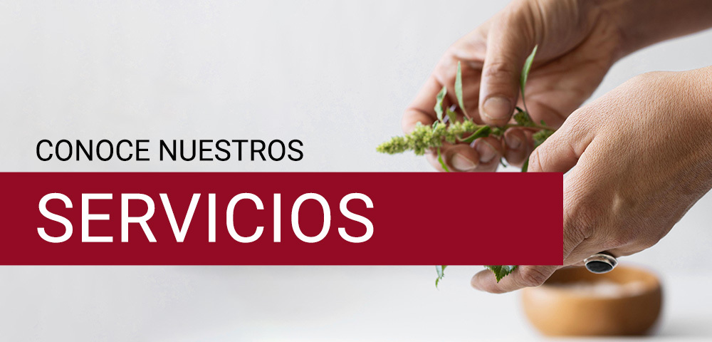 Servicios en farmacia de la creu