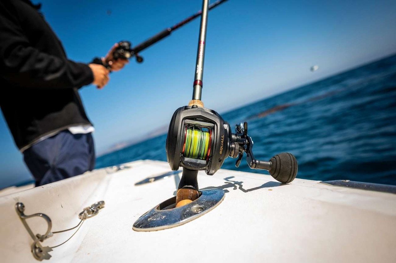 avet blue sx reel Avet SX 5.3 Lever Drag Casting Reel  Jack's Tackle