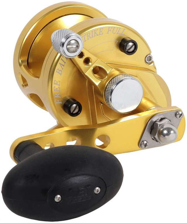 Avet SXJ 5.3 G2 MC NGP 1 Speed Reel - Gold (NGP) - TackleDirect