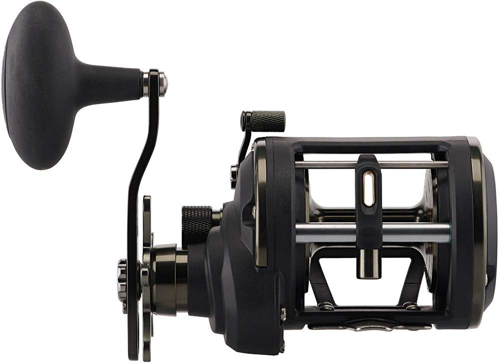 Penn SQLII20LW Squall II Level Wind Conventional Reel - TackleDirect