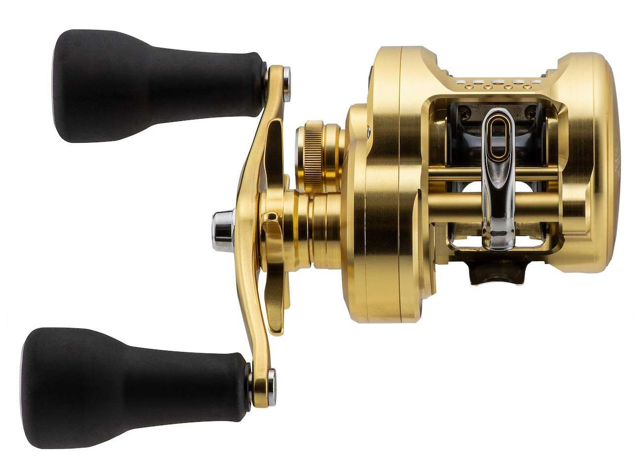 Shimano CTCNQMD300XGLHB Calcutta Conquest MD Reel - TackleDirect