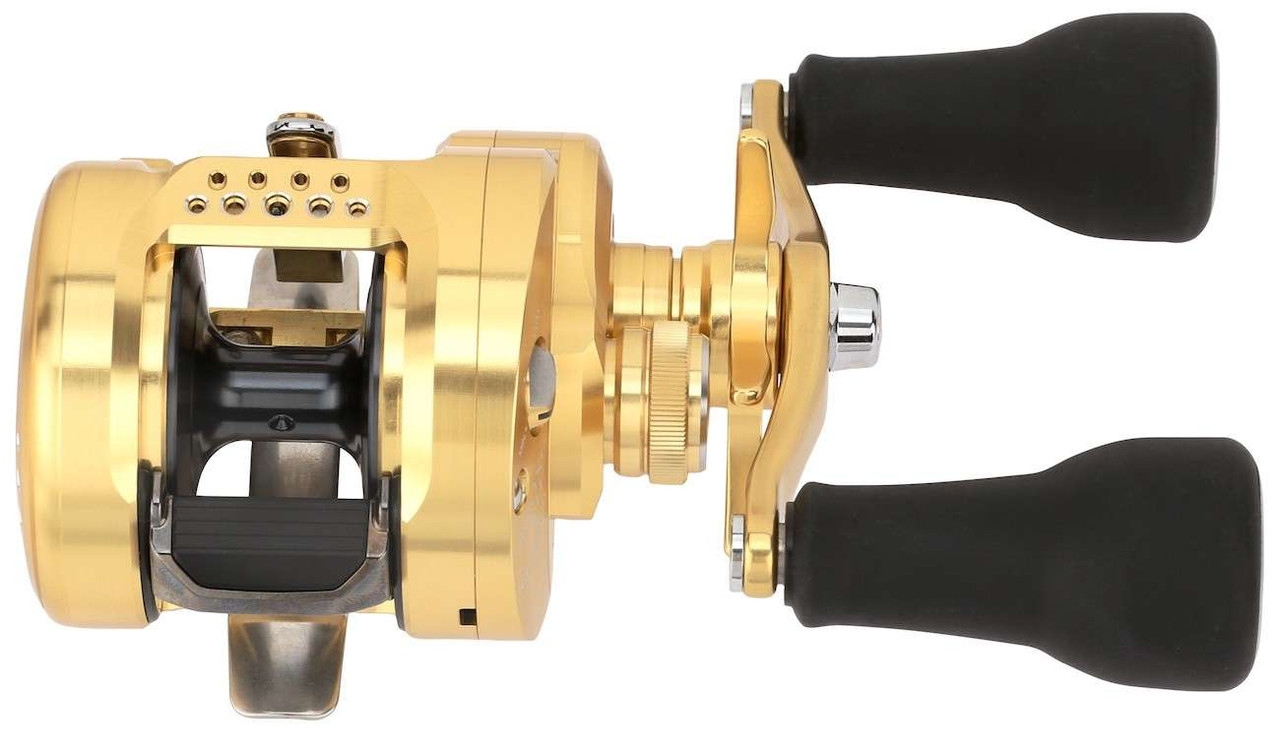 Shimano CTCNQMD300XGLHB Calcutta Conquest MD Reel - TackleDirect