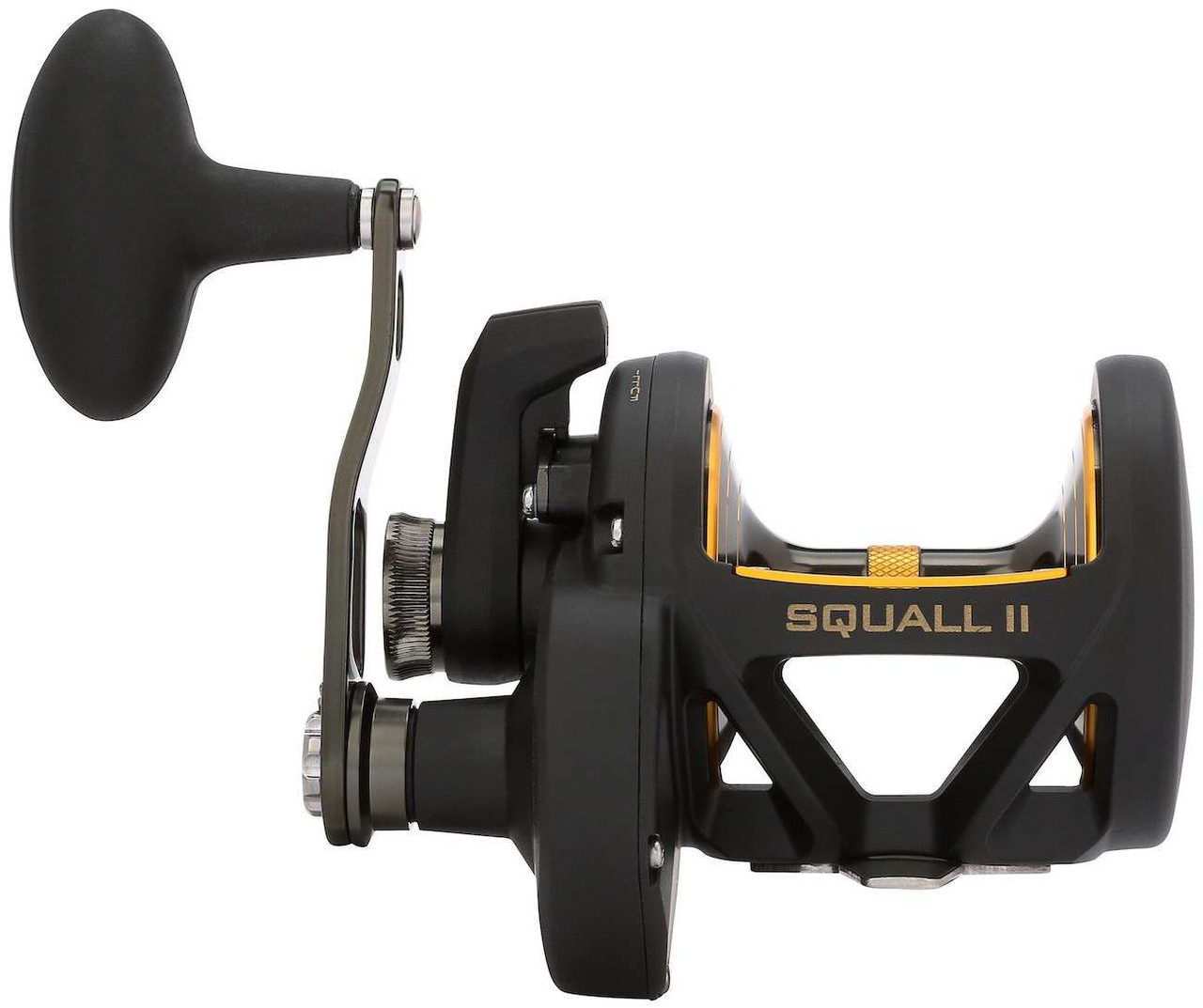 Conventional Rod And Reel Combo Penn Squall 40ld Combo Squall Ii