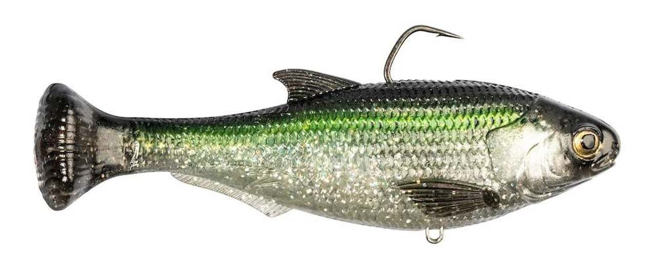 ⭐︎Surf53⭐︎ Z-Man Shadtron LT Swimbait - 6in - Fast Sinking - Tennessee