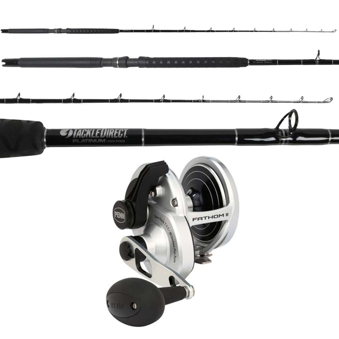 Penn Fathom II FTHII40NLDHS / TackleDirect Platinum Hook