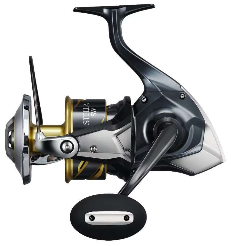 2 speed saltwater reels Penn International II 50SW 2 Speed Lever Drag Saltwater Fishing Reel