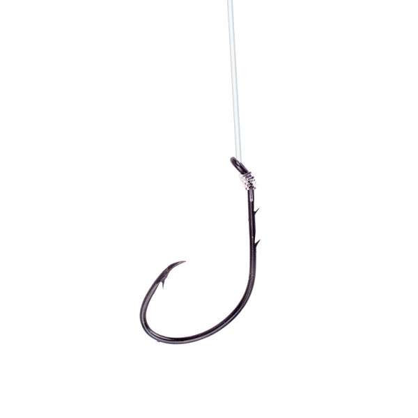 dolphin diver fishing hook A dolphin was injured with a fishing hook stuck in its mouth. Carefully, I  removed the hook so it could swim free in the ocean again. ,  #DolphinRescue, #SaveTheDolphins, #OceanRescue, #MarineLife,