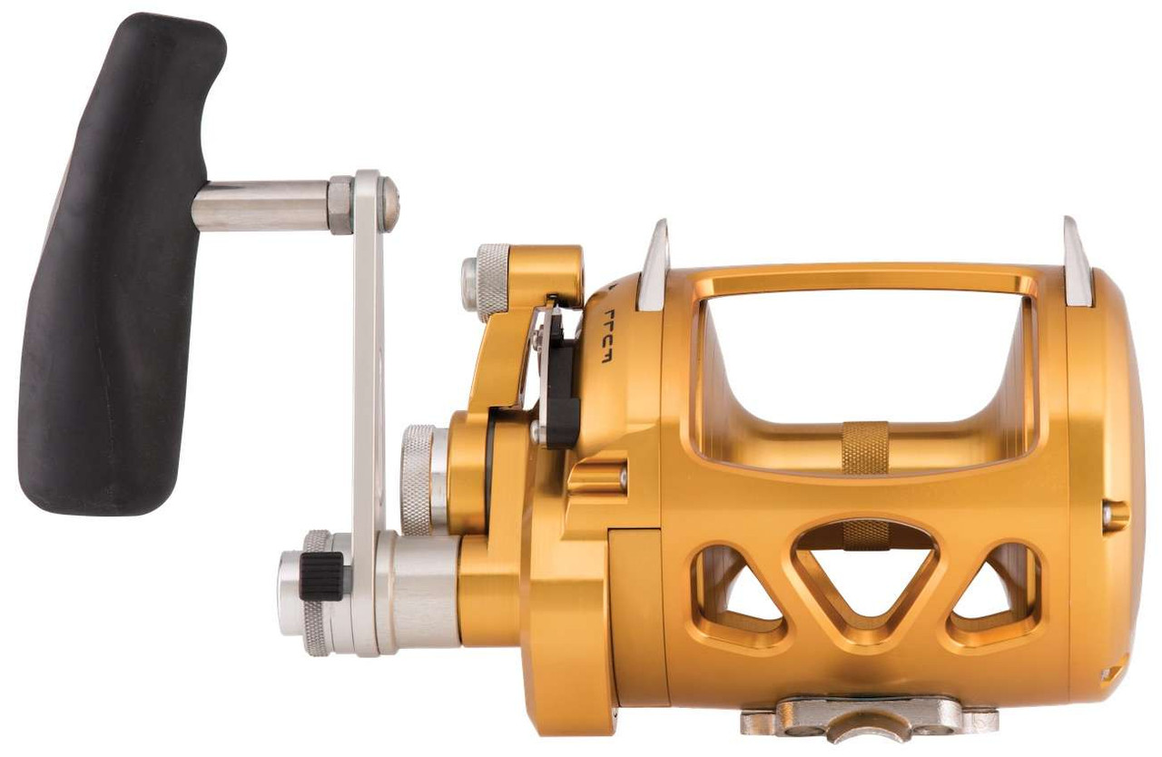 Penn INT30VISW 2 Speed International VI Trolling Reel