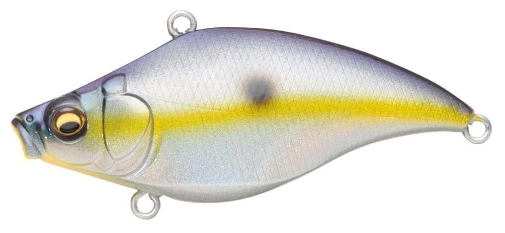 Megabass Vibration-X Jr. Silent - Megabass Sexy Shad